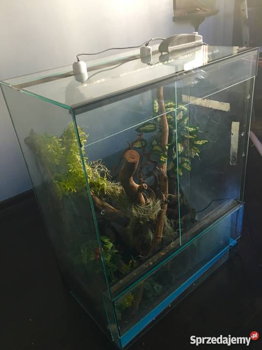 Terrarium duże wyposażenie kameleon gekon mazowieckie Warszawa
