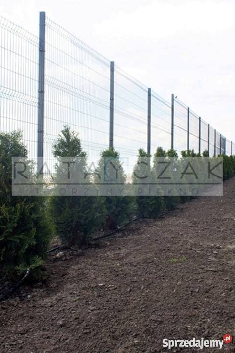 GRUBYPanel Panele Systemowe 3D 153m 150m kujawsko-pomorskie Gniewkowo