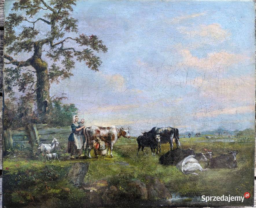 stary obraz olejny Pastwisko Kartuzy sprzedam