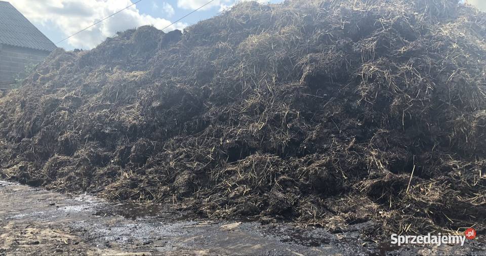 Obornik bydlęcy wymiana łódzkie Strzebieszew sprzedam