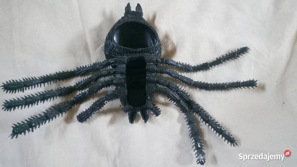 Pająk sztuczny maskotka Warszawa