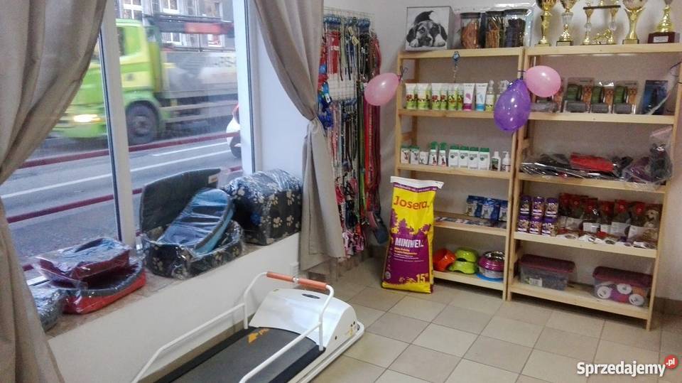 Biały Kiełnowo otwarty salon strzyzenia i usługi dla zwierząt