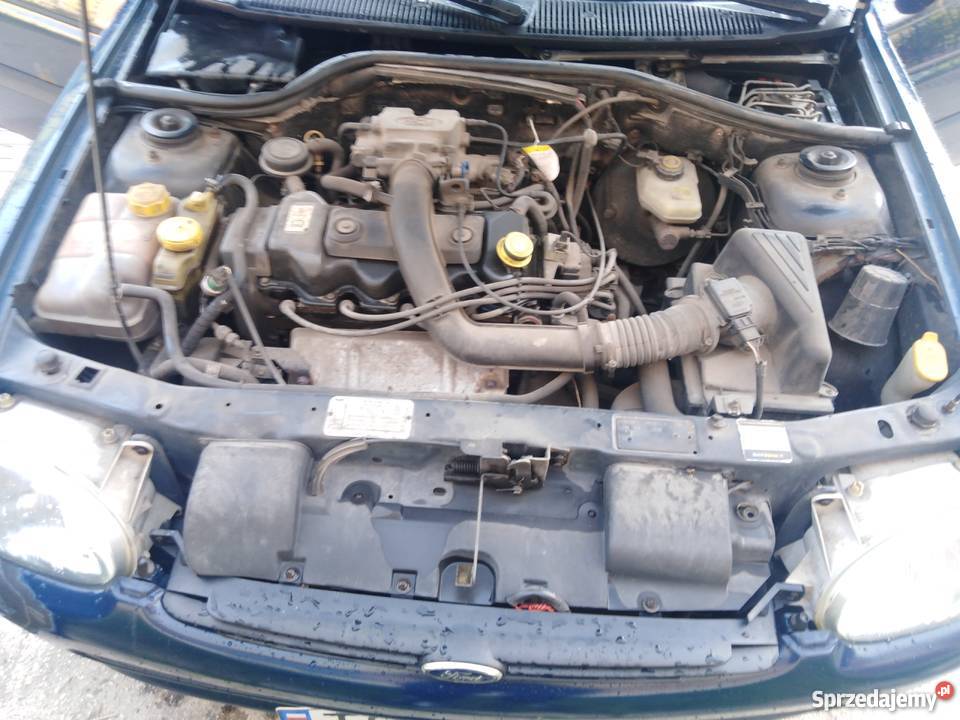 FORD ESCORT WAŻNE OPŁATY 13 96r jeżdżący 1200 300000km Ostrowiec Świętokrzyski