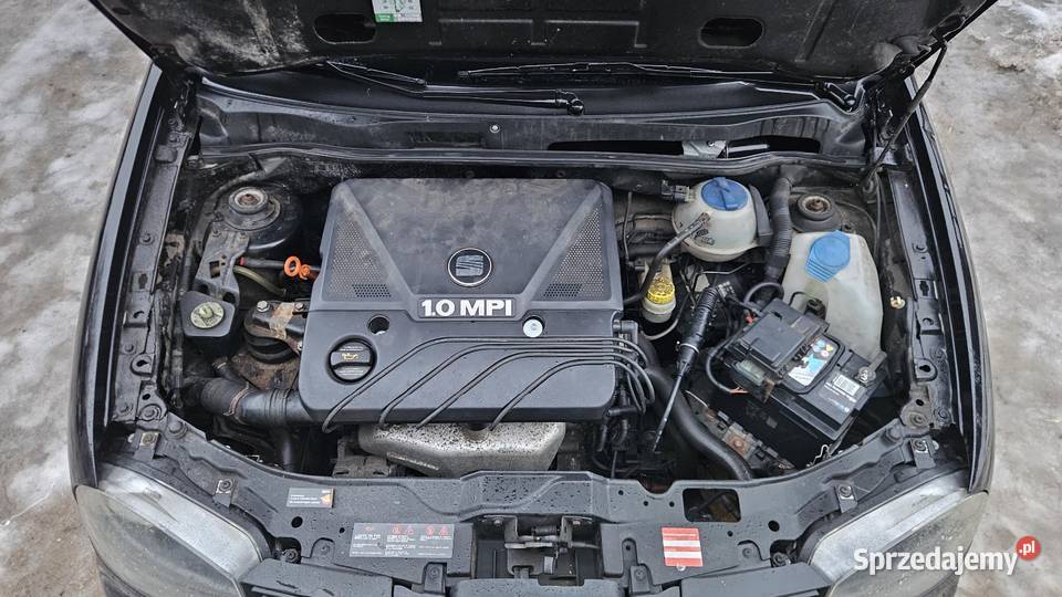 Seat Arosa 10 MPI 2004 Skwierawy