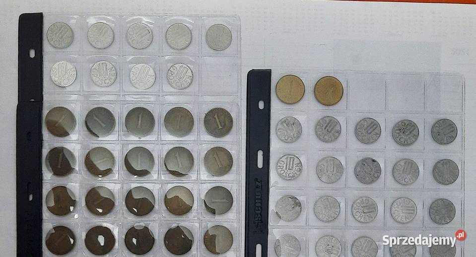 Zestaw Monet Austria I Numizmatyka Gliwice