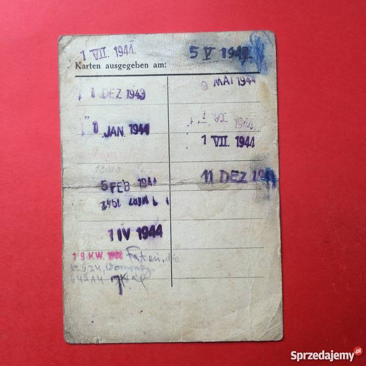 75 Dokument Pokojówki Szczecin