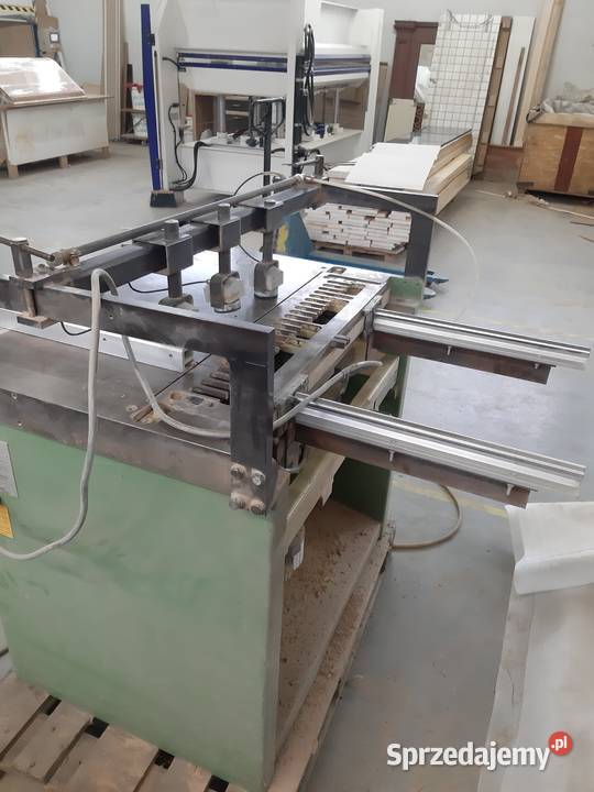 Wiertatka wilelowrzecionowa śląskie