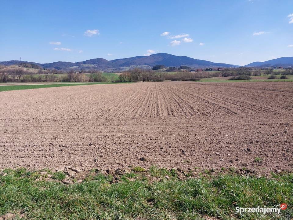 Sprzedam działke rolna 18 hektara Grunty i działki