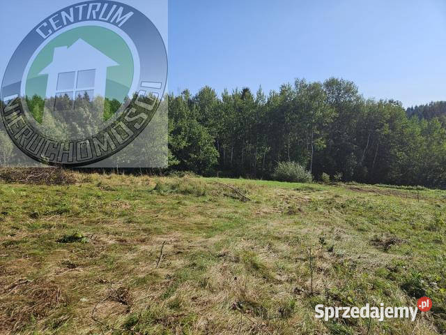 sprzedaży działki Mystków 9500m2 gaz małopolskie