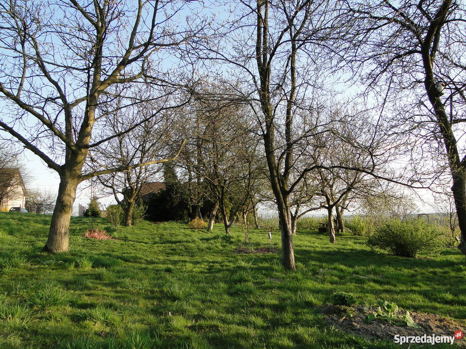 Działka budowlana 12a Brzozówka Gmina Zielonki Brzozówka