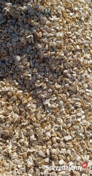 Nasiona arcydziegiel litwor Kraśniczyn