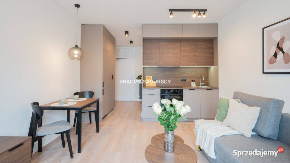 Mieszkanie na wynajem 251m2 1 pokojowe Kraków