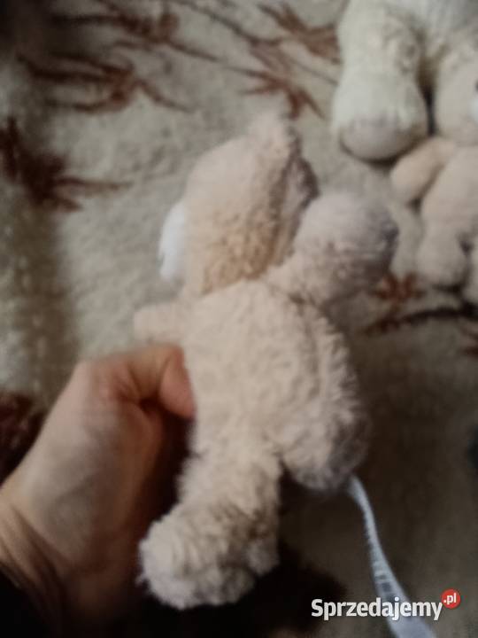 misie zabawki pluszowe maskotki komplet Poznań