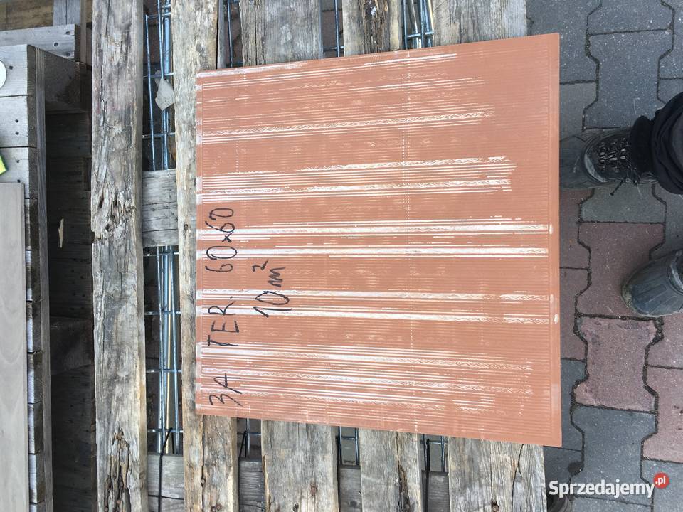 Terakota marmur poler 60x60 made in Spain Reguły