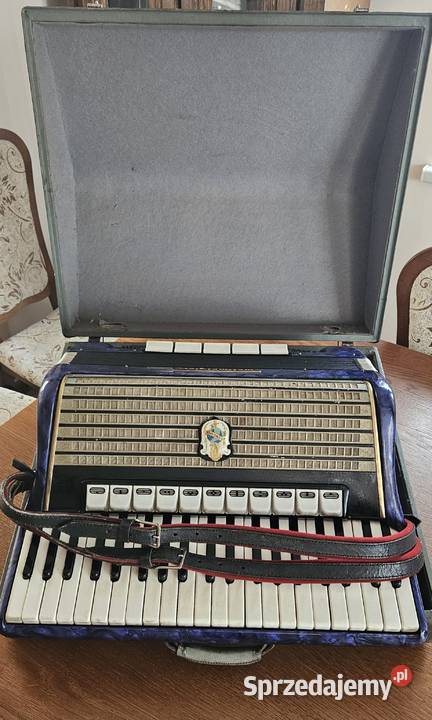 Akordeony 3 w zestawie Głowienka