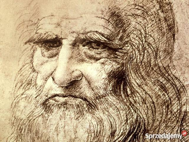 Leonardo da Vinci Szczecin