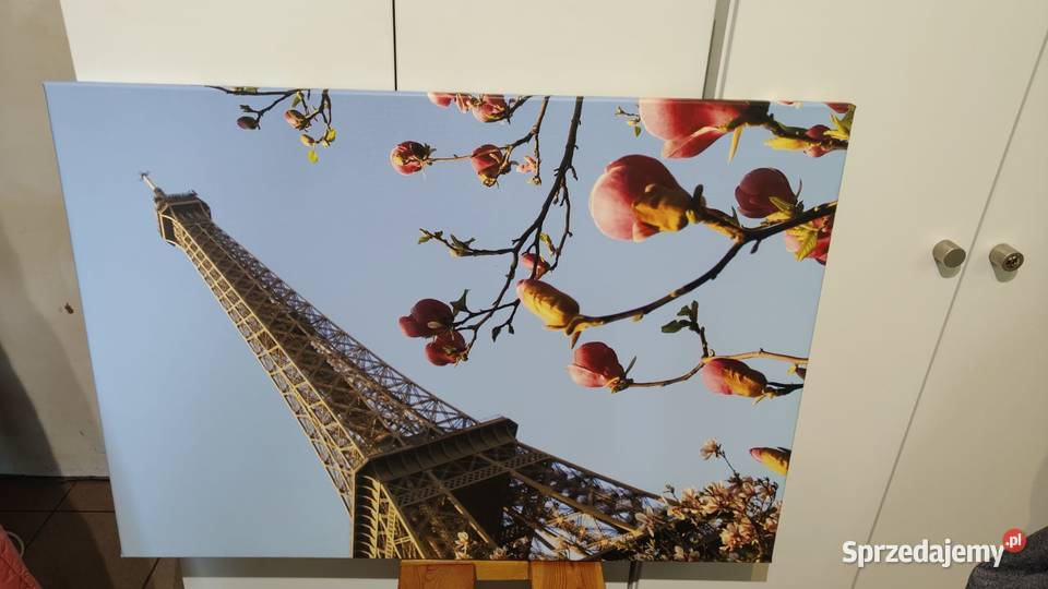 Obraz 100x70 na płótnie Paryż Warszawa sprzedam