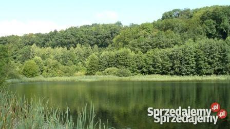 gospodarstwo rolno rybackie Recz sprzedam