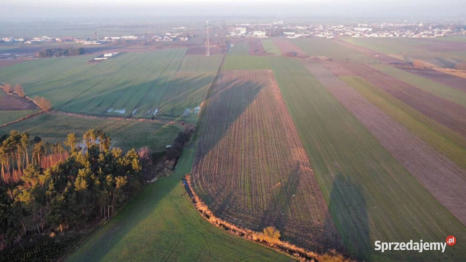 Działka inwestycyjna Przemysł 29ha Borek Wielkopolski
