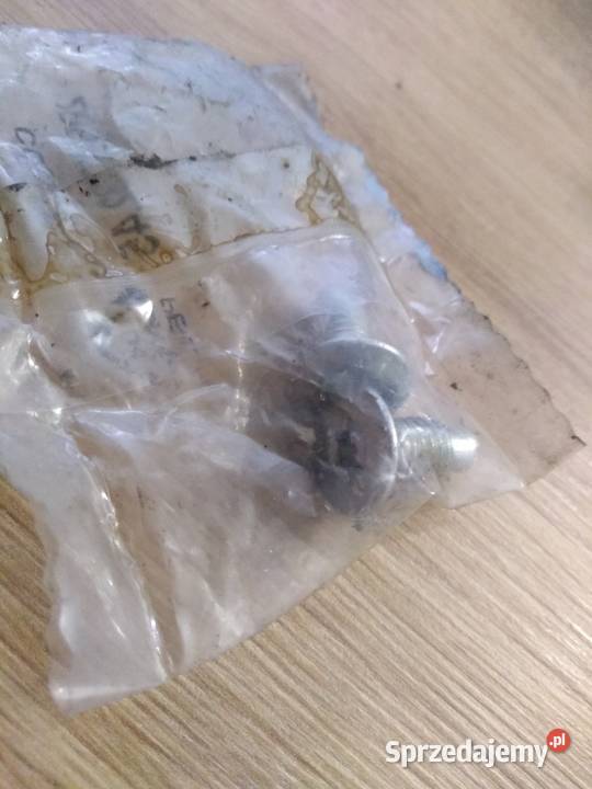 Śruba tarczy hamulcowej Clio I II III Lublin