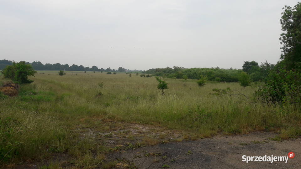 Grunt MORZEM 06ha kolo Jaroslawca 6080m2 zachodniopomorskie Jarosławiec