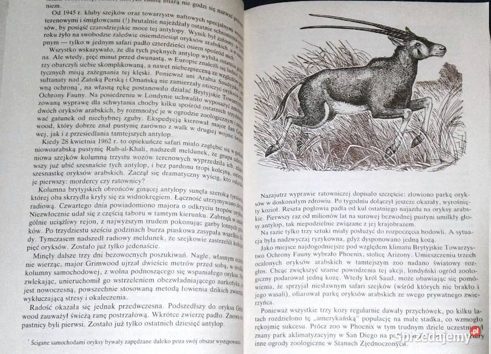 Zwierzęta zwierzęta Andrzej Trepka Chełm