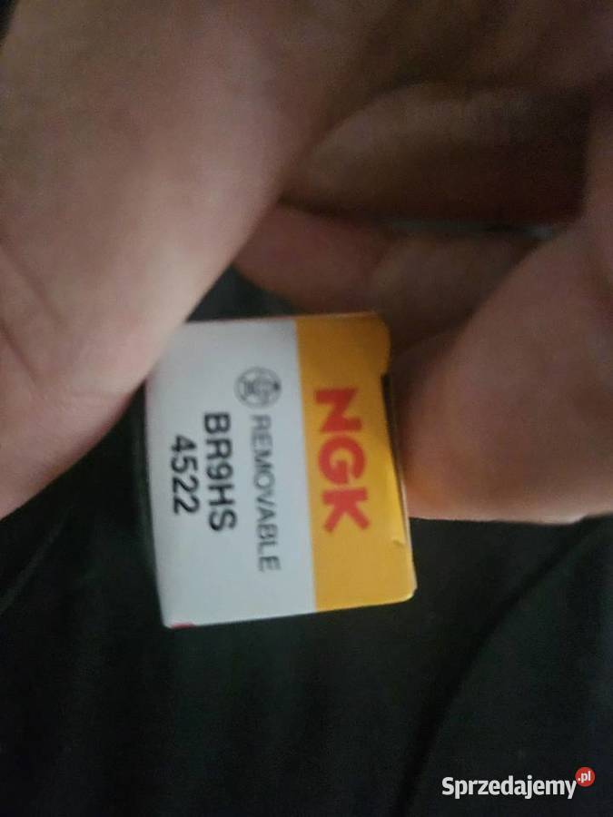 Świeca ngk br9hs Drzewica