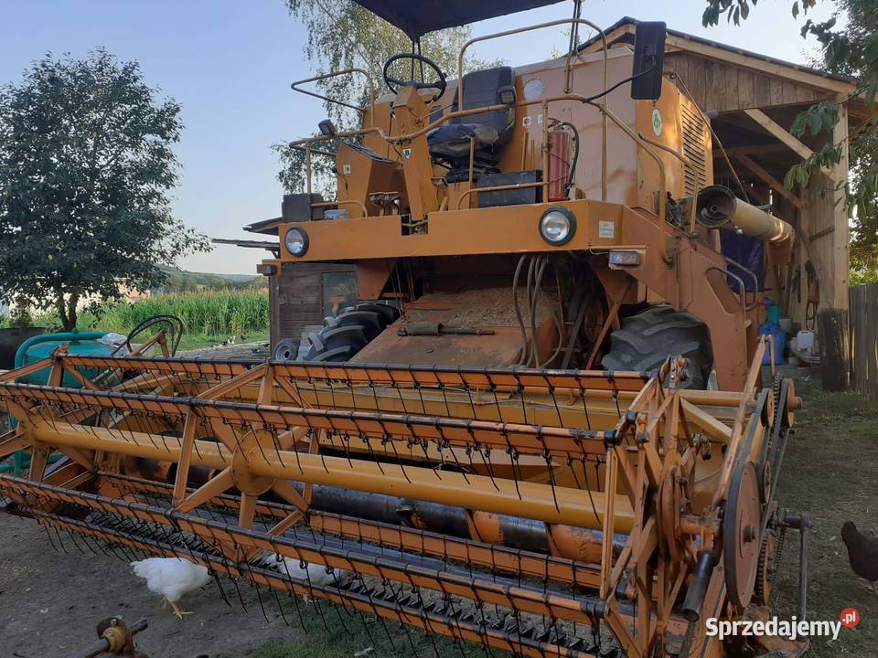 Bizon z056 nieuszkodzony Sanok