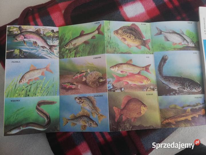 Przewodniki wędkarskoturystyczne wielkopolskie