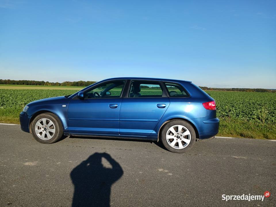 Audi a3 8p tdi 367894km dolnośląskie Środa Śląska
