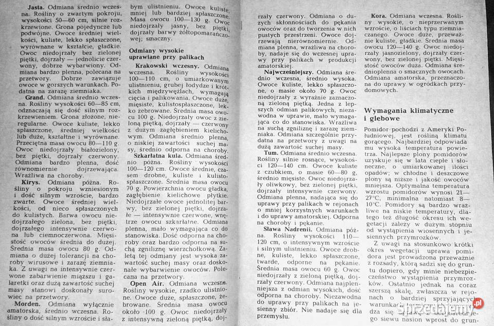 Warzywa o soczystych owocach Stanisław Chełm sprzedam