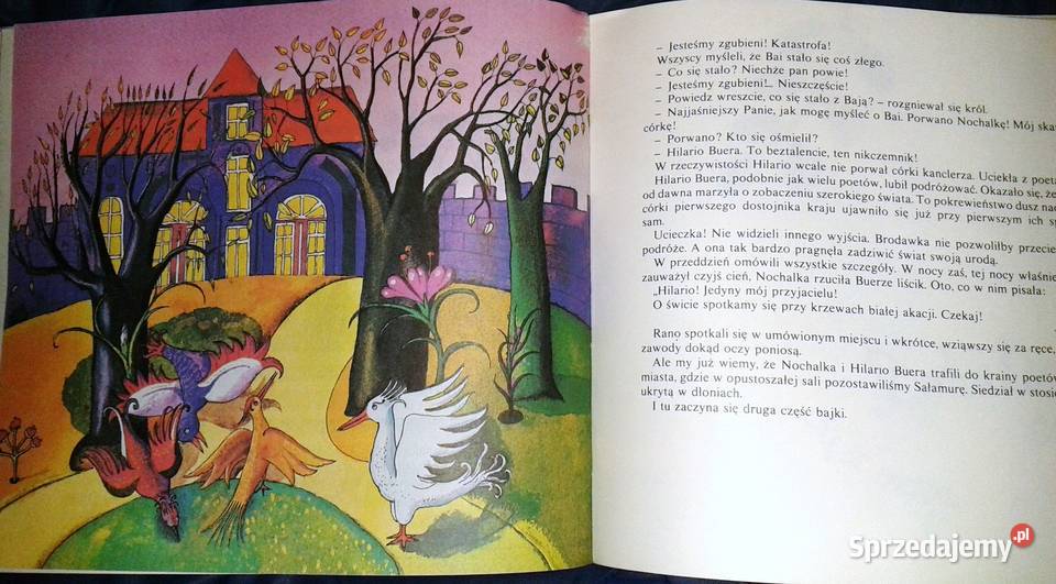 Przygody Sałamury Arczył Sułakauri Książki i Podręczniki lubelskie Chełm