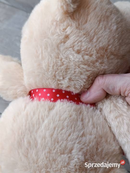 miś pluszak sprzedam Poznań