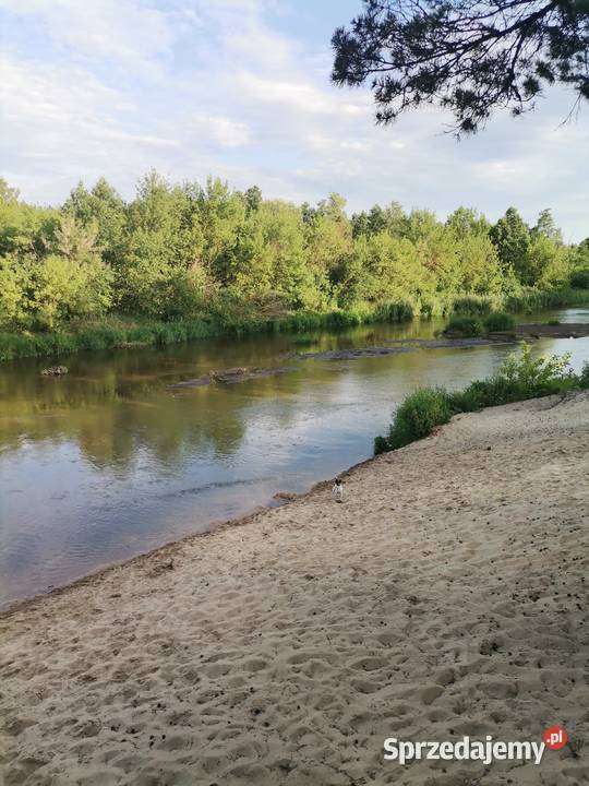 Działka ROD w Kamieńczyku kWyszkowa 500m2 Sprzedaż Nieruchomości Kamieńczyk sprzedam