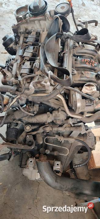 VOLKSWAGEN POLO IV 9N3 2006 MANUALNA 5BIEGOWA Rudziniec