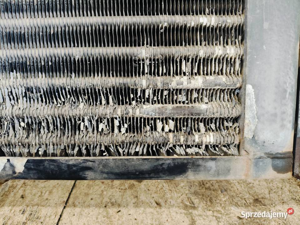 Claas Axion 840 CMatic 13r Chłodnica Stalewo