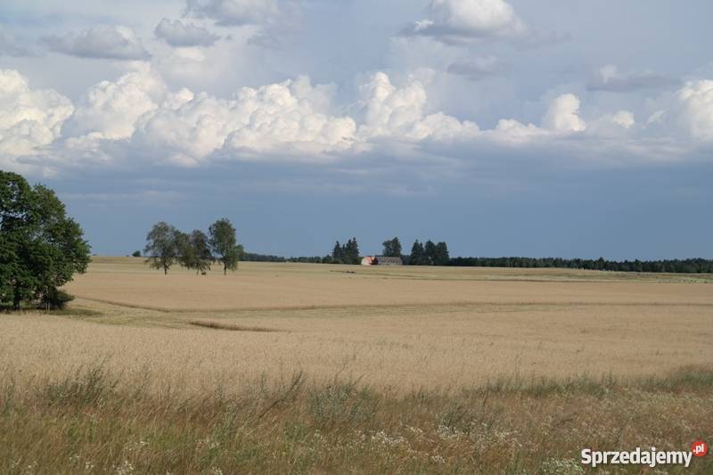 działkę rolną 51 ha pomorskie Koczała