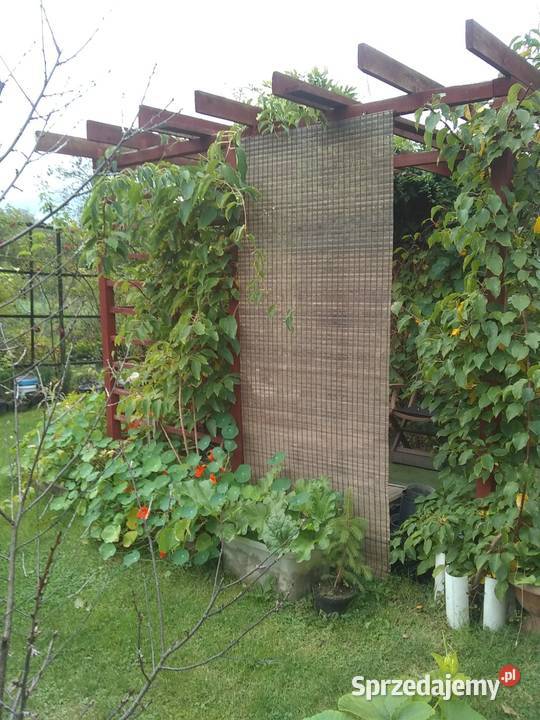 Działka ROD Żeromskiego sprzedam