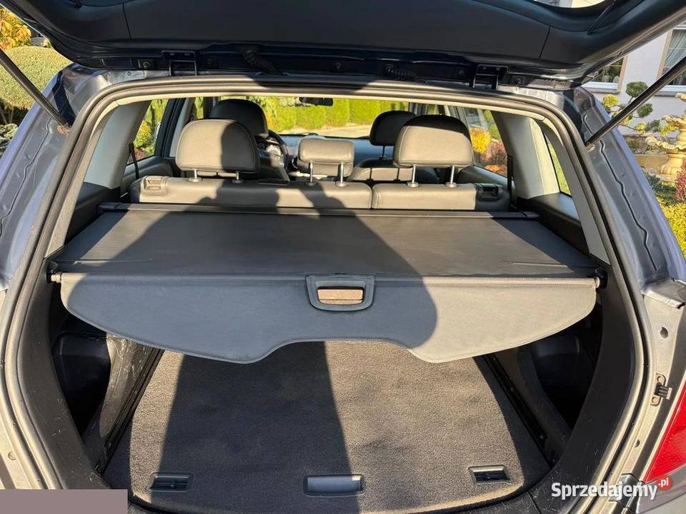 Opel Antara 20 CDTI 4x4 Edition 150 2008r diesel