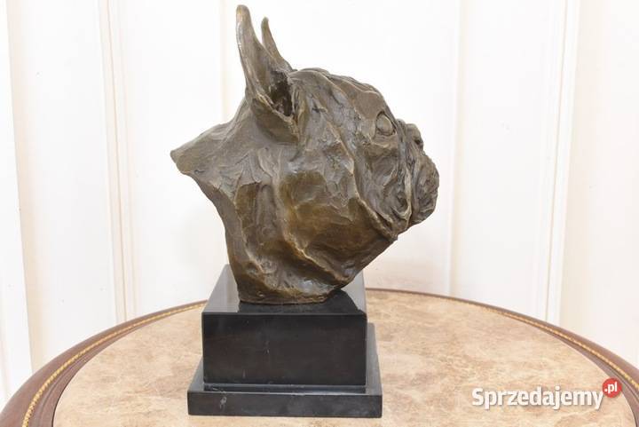 Popiersie Psa Buldog MOPS PIES Figura z Brązu małopolskie