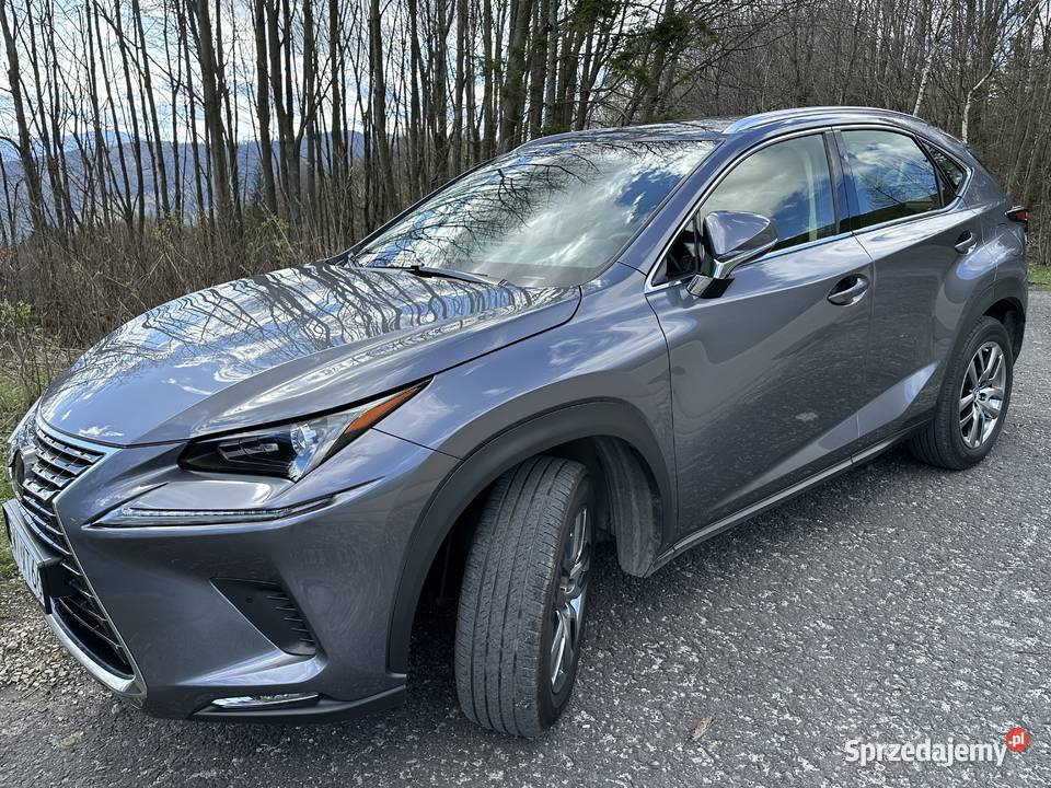 Lexus NX 300 238 AWD HAK nieuszkodzony Górki Wielkie