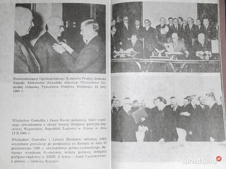Polityczne dylematy Gomułki B Syzdek E Syzdek Pozostałe Chełm