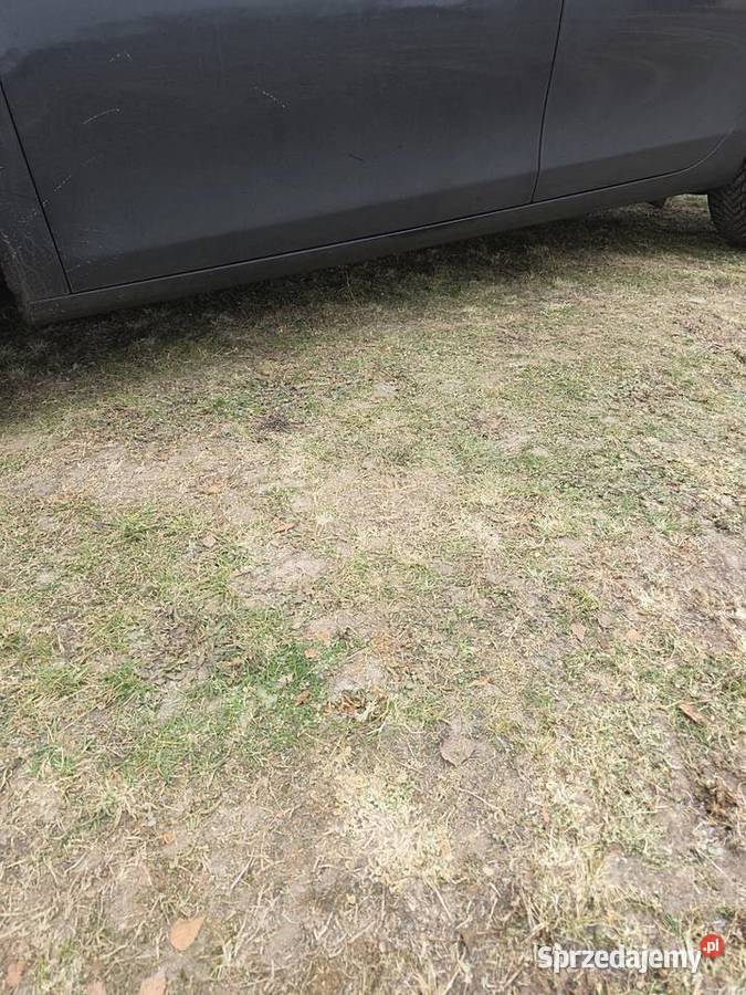 Fiat bravo manualna Bukowice