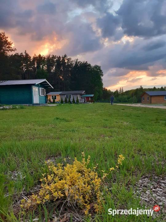 lowisko wędkarskie domki letniskowe organizacja Obsługa imprez Goryń