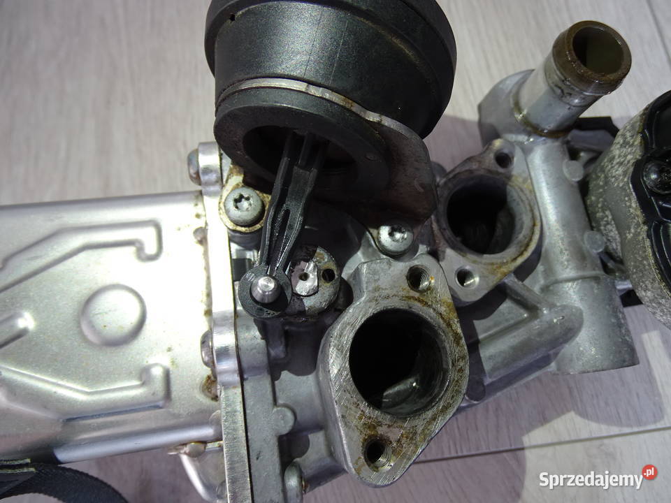 zawór EGR Z chłodnicą VW Passat B6 B7 Golf VI 6 Pozostałe