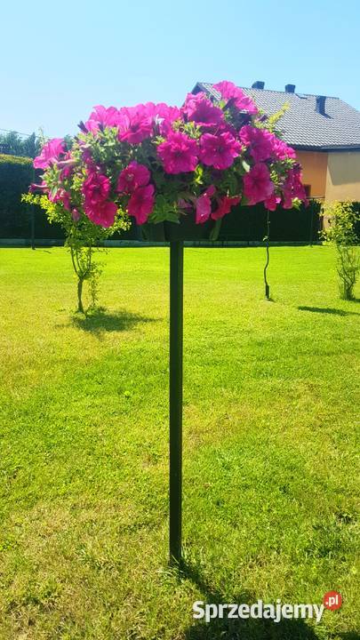 Kwietnik Stojak Ogrodowy Metalowy Na Kwiaty Chybie