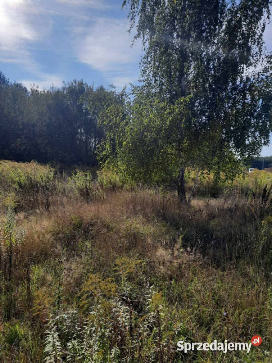 Ojrzanów działka budowlana bezpośrednio utwardzona Sprzedaż Nieruchomości