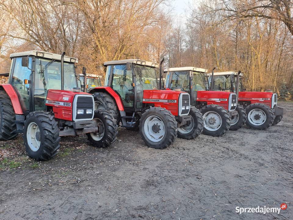 Massey Ferguson 6120 6150 6160 lubelskie Chełm