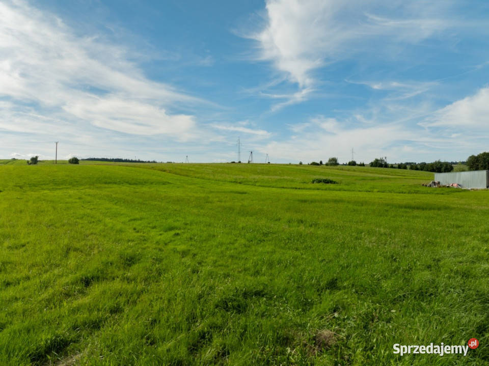DziałkaSprzedażLasek 366m małopolskie