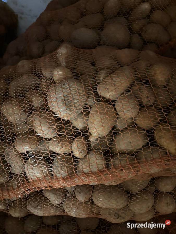 Sprzedam ziemniaki jadalnedo sadzenia 3 odmiany Zakrzówek sprzedam